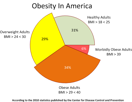 Fat Statistics In America 47